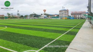 Sân bóng trường Cao Đẳng Duyên Hải - Hải Phòng